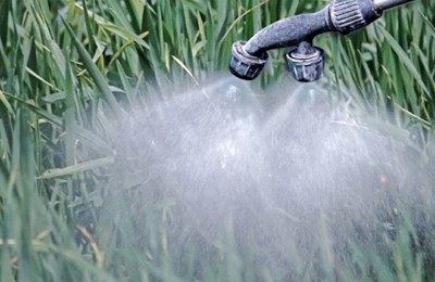 agrotoxico-web-legal