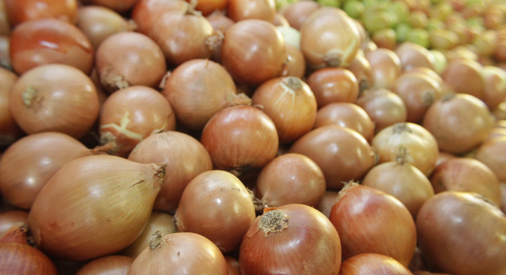 cebola (2)