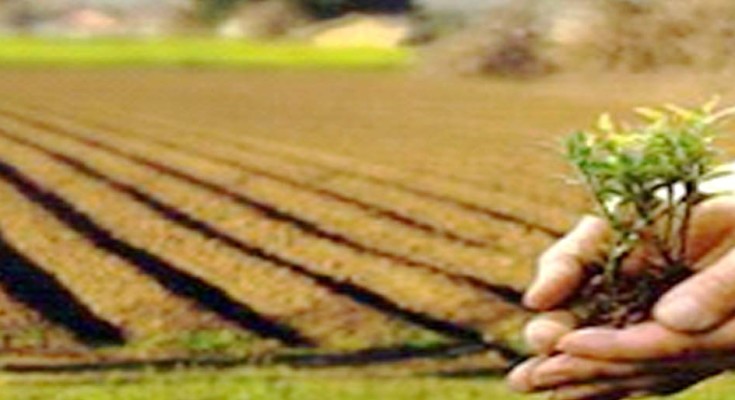 economia-verde-web