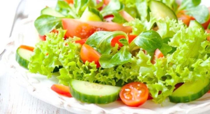 salada-web