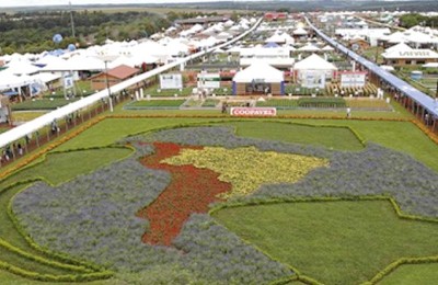 show-rural-web