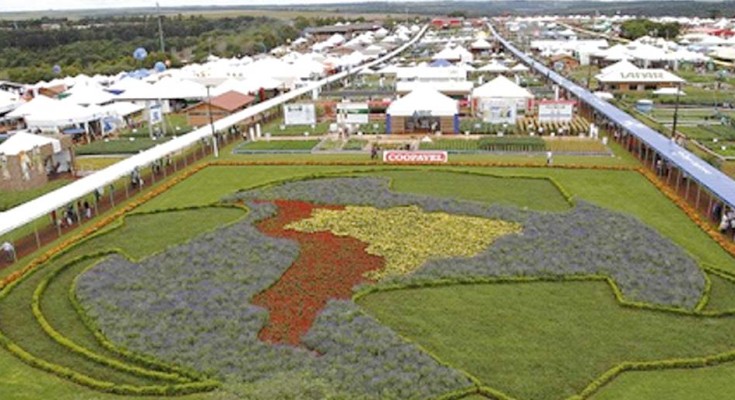 show-rural-web