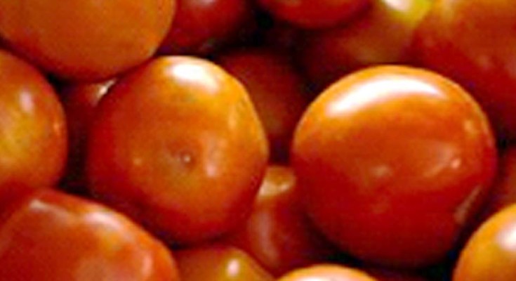tomate-webbb