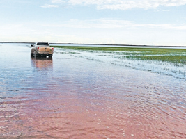 00LAVOURA_ALAGADA_INUNDADA_CHUVA