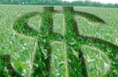 DINHEIRO-WEB