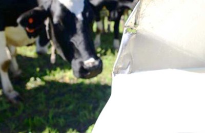 LEITE-VACA-WEB