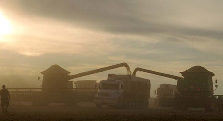 SAFRA-SOJA-BONITAAA-WEB