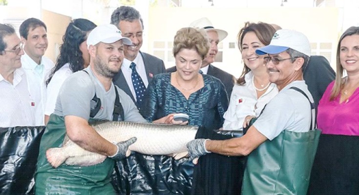 PESCADO-DE-QUALIDADE