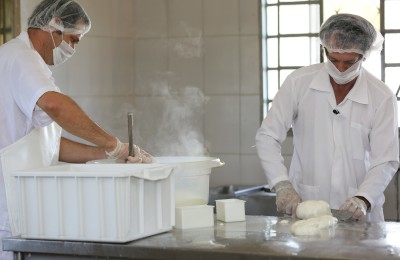Laticinios derivados do leite de bufala.