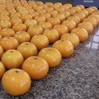 912ba47562884991a04e8e821987d7c3_200x200