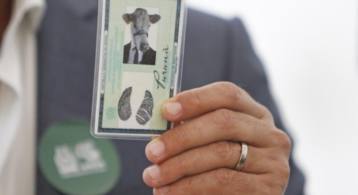 Beto - Purunã-AM (24)-kXX-U202745813537EV-1024x683@AGRO-Web