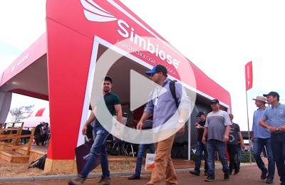 simbioseweb