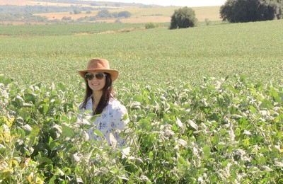 Além da queda de produção devido a estiagem, a agrônoma Carla Nemitz relata que os percevejos continuam sendo o principal foco de controle nas lavouras da região sul.