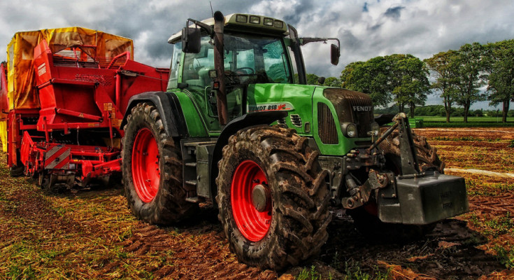 produtor_rural