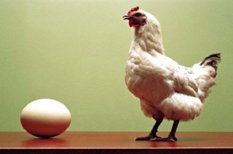 Ovo X Frango