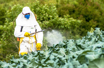 manual pesticide sprayer