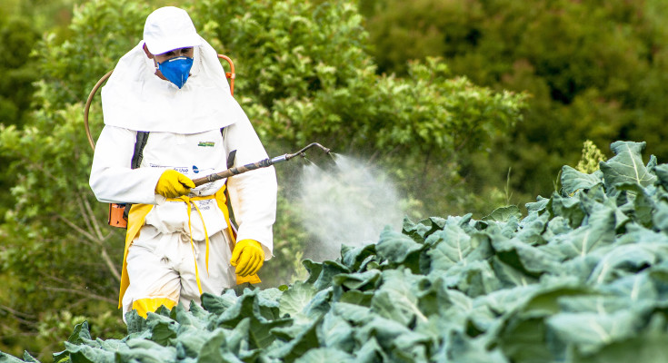 manual pesticide sprayer