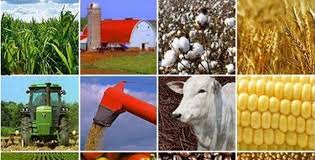 Agricola