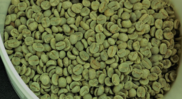 cafe-verde