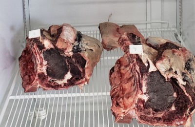 Carne Maturada