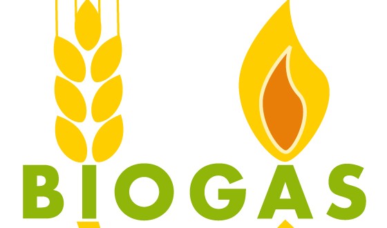 Biogas