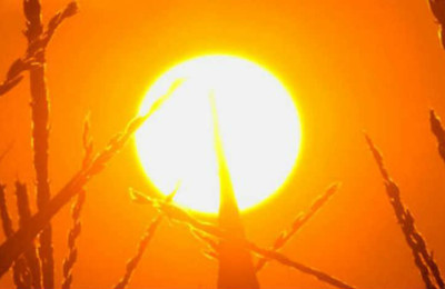 temperaturas-altas-calor