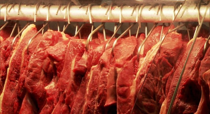 Carne