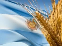 Trigo Argentino