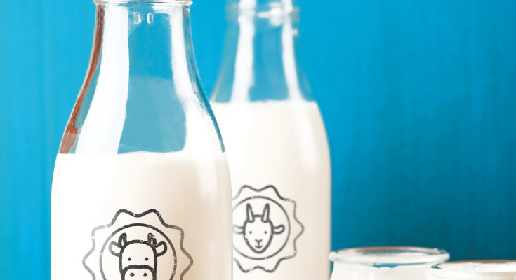 leite-de-cabra-e-de-vaca-integral