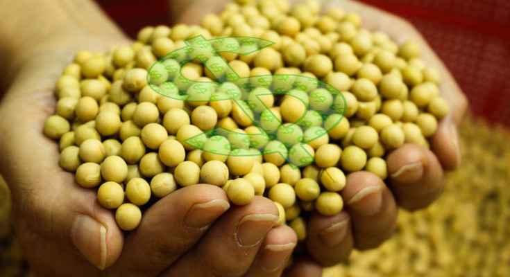 Sifrão