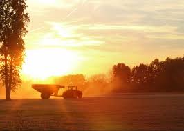 Variação Climática