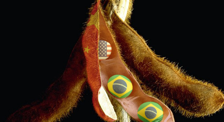 soja-brasil-china-eua2