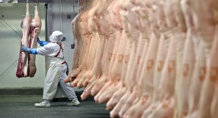 Carregamento de carne suína