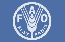 FAO