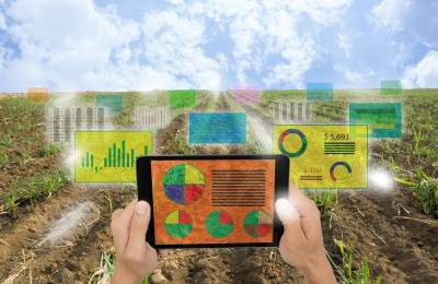 sensores-na-agricultura