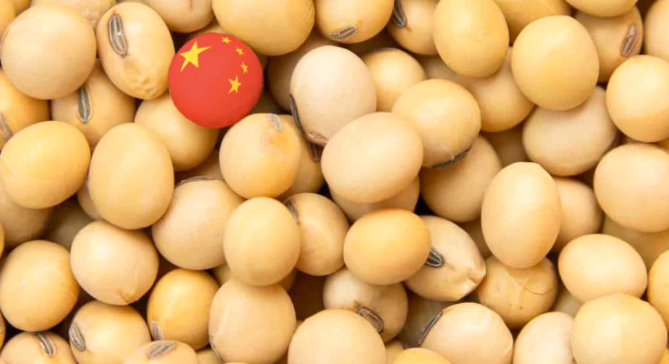mercado-da-soja-china