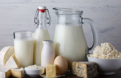 Laticinios Exportação