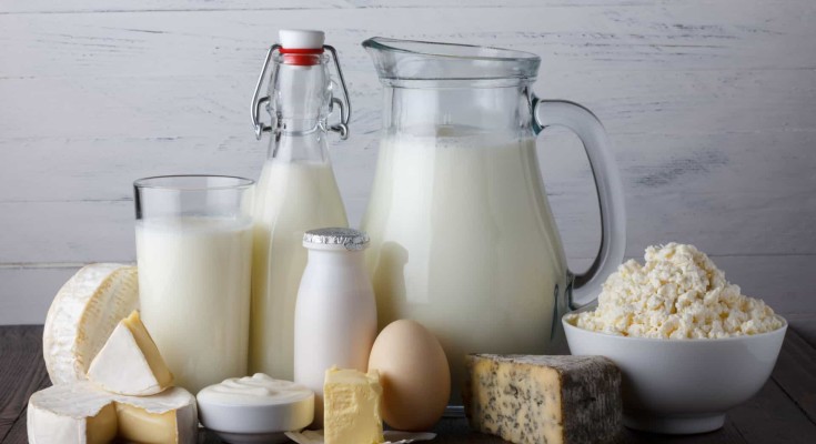 Laticinios Exportação