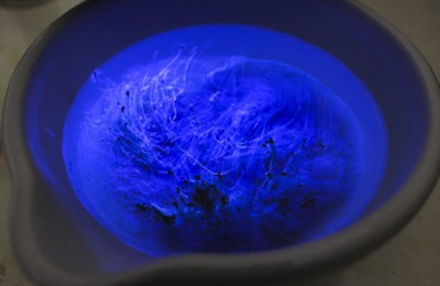 Biofertilizantes