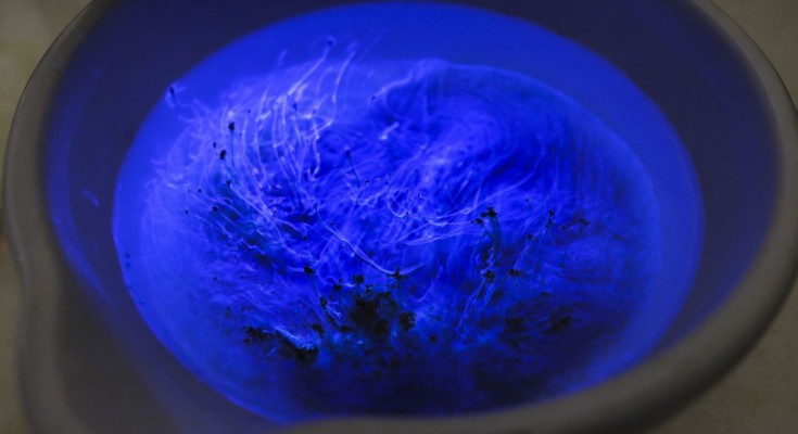 Biofertilizantes