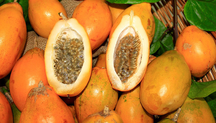 Maracujá Doce