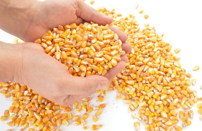 Produção no Agro