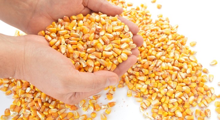 Produção no Agro