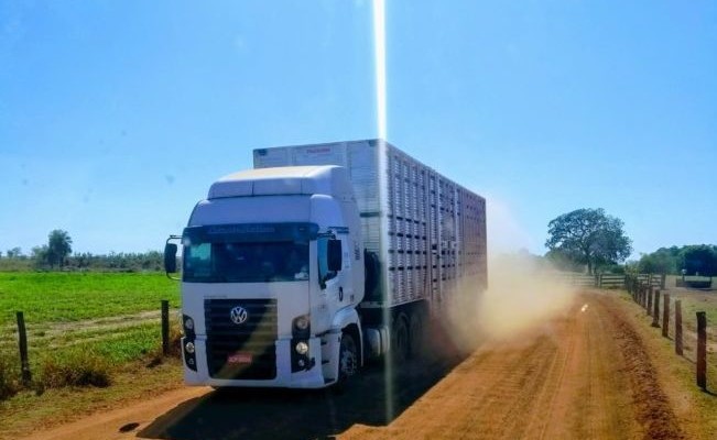 Transporte de Gado