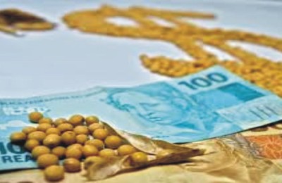 preco-da-soja-em-leve-baixa-no-brasil