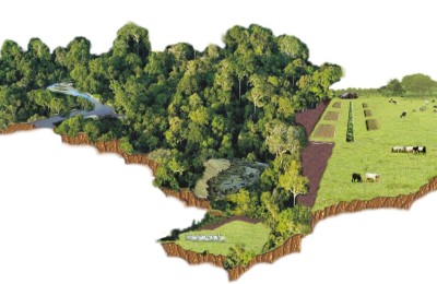 Brasil e Proteção Ambiental