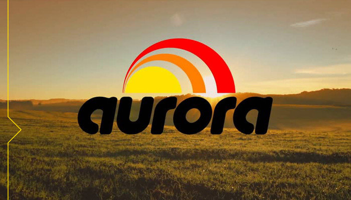 CASE_AURORA_ALIMENTOS
