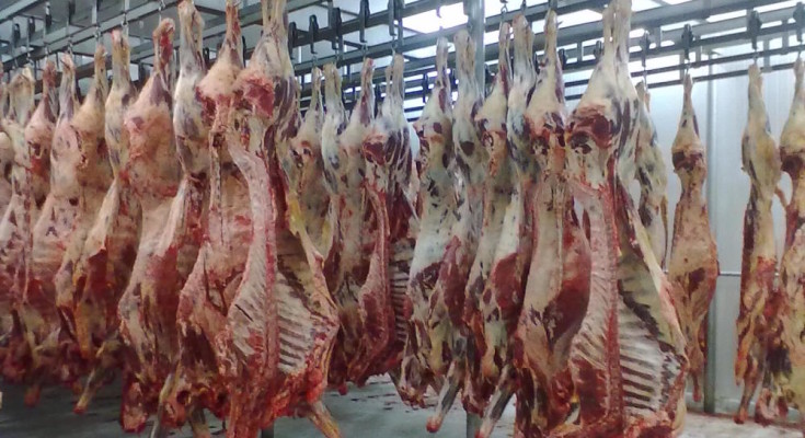Carne e Frigorífico