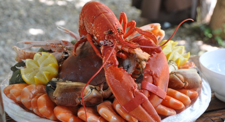 Frutos-do-mar