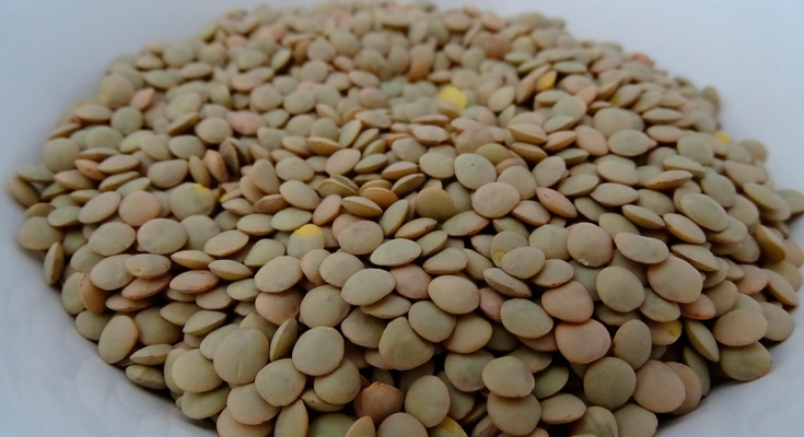 Lentilha